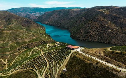 Primeiro vinho do Douro da Casa Ermelinda Freitas conquista medalha de grande ouro na França