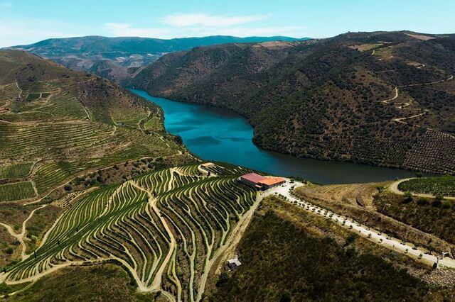 Primeiro vinho do Douro da Casa Ermelinda Freitas conquista medalha de grande ouro na França