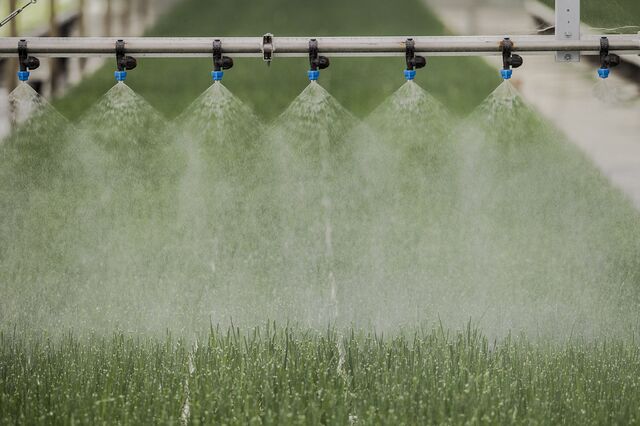 Futuro da agricultura nas mãos da tecnologia 