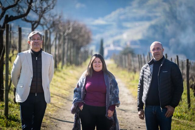 Dono de quintas e hotéis em Portugal passa a chamar-se Pacheca Group
