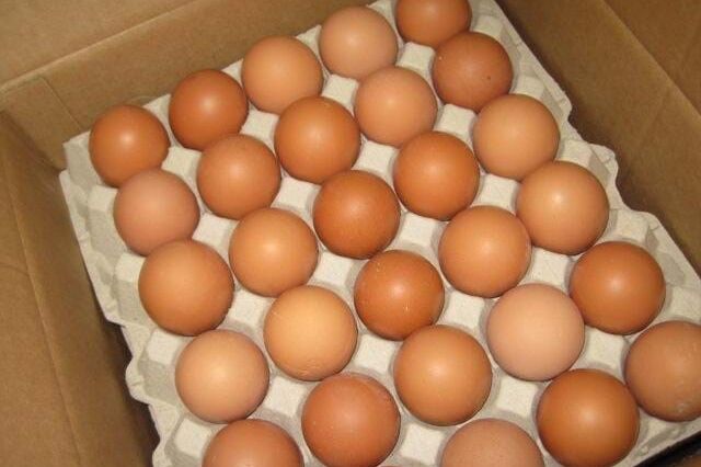 Noruegueses vão à Suécia comprar ovos para a Páscoa devido a escassez no país