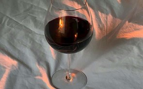 Vinhos para guardar ou beber já? Especialistas respondem