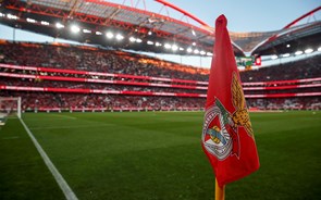 Investir em dívida do Benfica custa no mínimo 155 euros