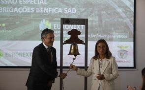 Benfica, Luís Mendes, Ucha