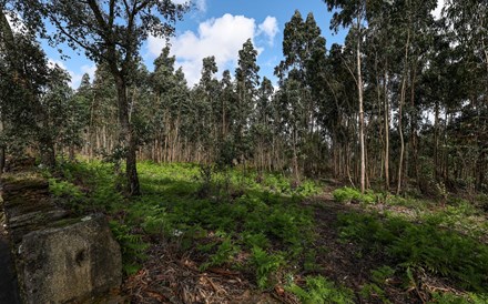 Fisco lança concurso para iniciar avaliação de terrenos