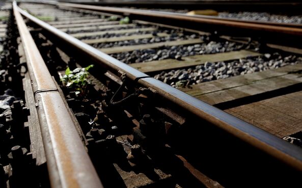 A área em causa atinge mais de 290 mil metros quadrados.