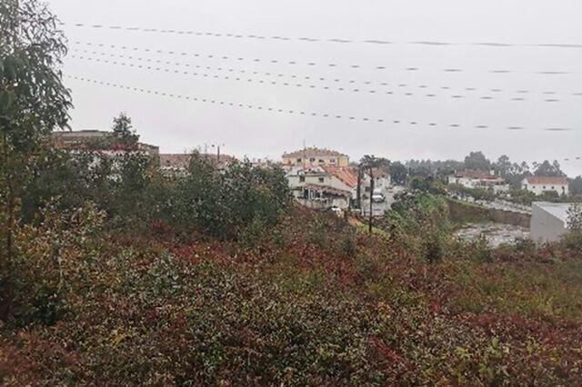 Terreno de milhares em leilão por 1 euro numa falência de milhões