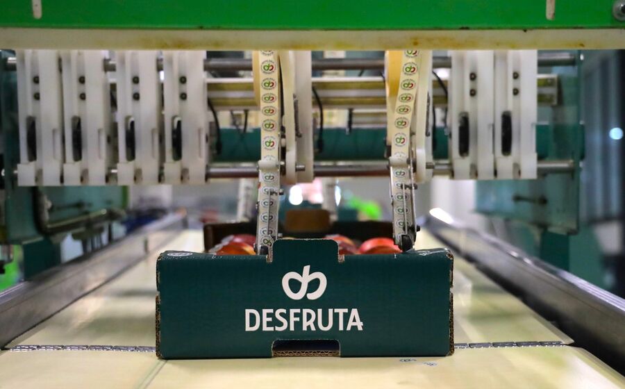 Desfruta 