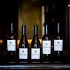 7 novos vinhos de duas velhas quintas no Douro. Estes tem mesmo de provar
