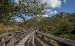 Há mais na floresta que apenas madeira 