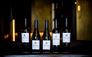 7 novos vinhos de duas velhas quintas no Douro. Estes tem mesmo de provar