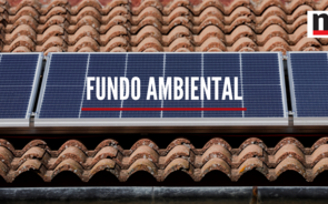 fundo_ambiental.mp4