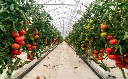 A agricultura tem sido um terreno fértil em práticas inovadoras. Venha saber como