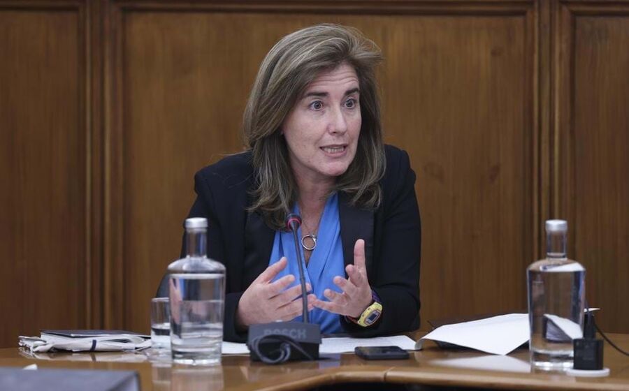 Ana Mendes Godinho diz que reforma do Governo é feita 'sem haver um racional que a justifique'.