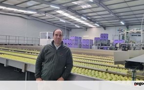 Gigante das maçãs compra falida concorrente por mais de 6 milhões