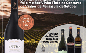 Adega de Pegões ganha prémio de melhor vinho Tinto da Península de Setúbal e lança 3 novos vinhos de topo no mercado