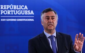 Fernando Alexandre