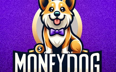 De vídeos a quizzes. Como a MoneyDog quer chegar a jovens