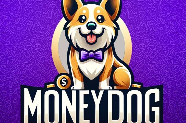 De vídeos a quizzes. Como a MoneyDog quer chegar a jovens