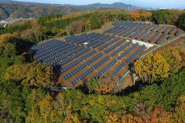 Nova aliança vai mapear localização de energias renováveis em harmonia com a natureza e as pessoas 