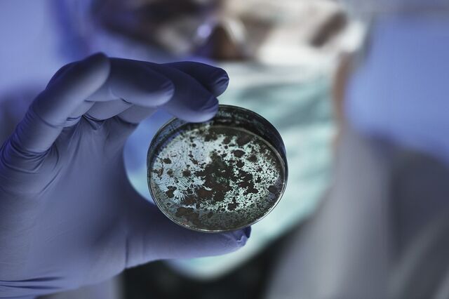 SIFIDE teve número máximo de candidaturas em 2023