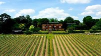 O grupo Symington adquiriu, no final do ano passado, a meias com a Berry Bros. & Rudd, um dos mais conceituados produtores de vinho espumante inglês, a Hambledon Vineyard.