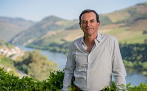 Maior dono de quintas do Douro à frente das 12 famílias “vintage” do mundo do vinho   