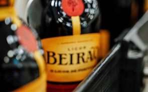 Dona do Licor Beirão 'caça' Safari e espera triplicar exportações em cinco anos