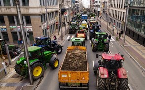 Agricultores europeus ameaçam com “muitos mais protestos” em breve