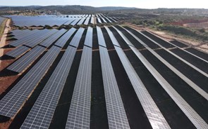 Duas novas centrais solares da Iberdrola no Algarve já estão a injetar energia da rede