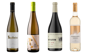 4 vinhos e as suas histórias: Um Alvarinho cultivado há anos, um duriense de castas locais, um tinto com história e um branco “jovem”