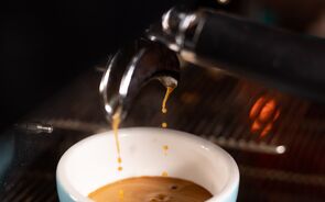 café, chávena