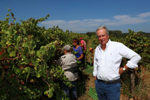 Vinho: “Não faz sentido regras diferentes entre regiões”