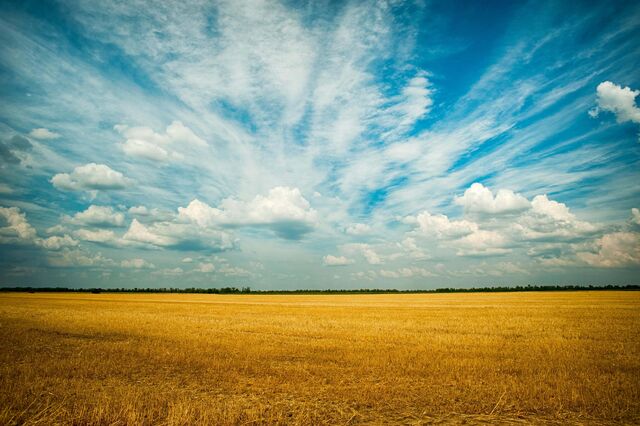 UE importa produtos que utilizam terrenos equivalentes à dimensão de Espanha