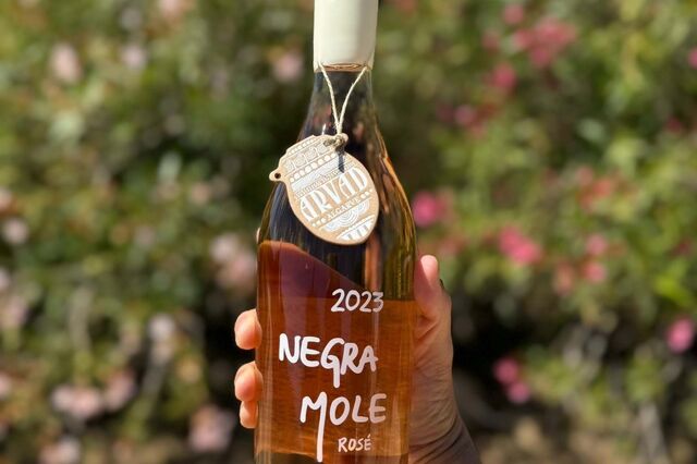 Arvad convida a participar nas vindimas Negra Mole