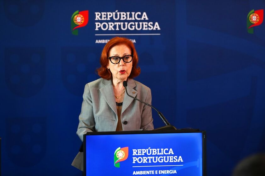 Maria da Graça Carvalho