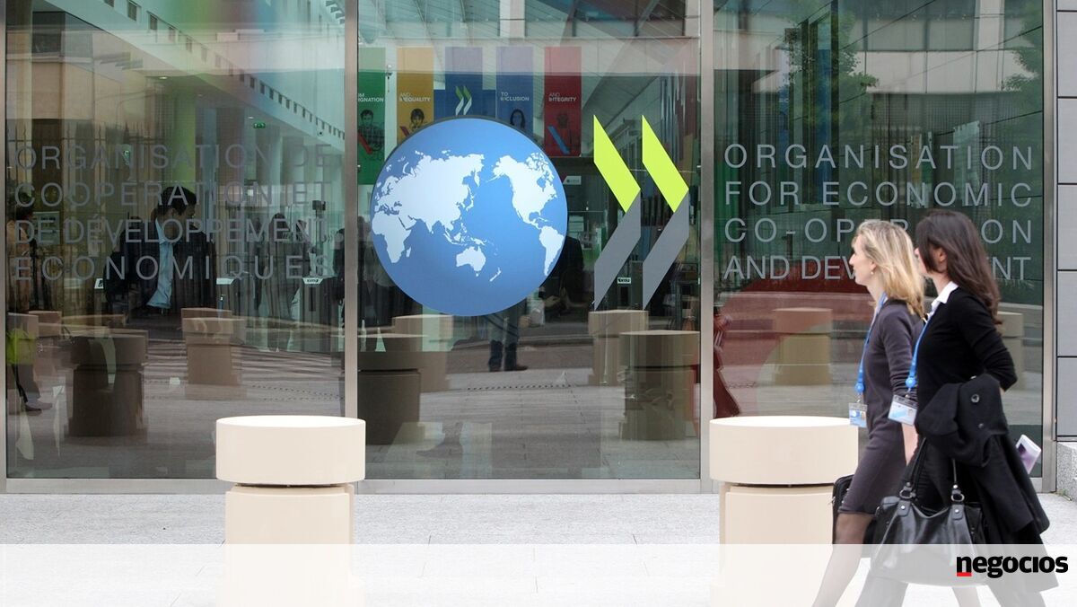 OCDE vê défice em 2026 e recomenda cortes na despesa