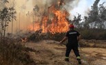 Incêndios: Dois mortos em Sever do Vouga e Albergaria-a-Velha