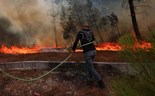 Agricultores pedem 'acção rápida' e aposta na prevenção e rejeitam 'soluções simplistas'