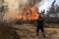 Incêndio em  Albergaria-a-Velha.