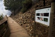 incêndios