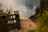 incêndios