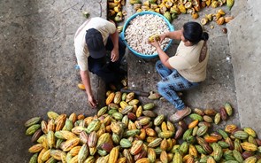 Desde o início do ano, só os ovos sobem mais do que o cacau