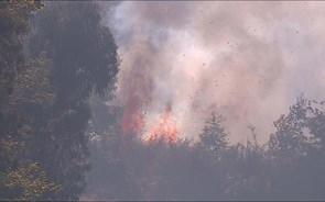 Incêndios: Casas ameaçadas em Aveiro e autoestradas A1, A25 e A29 cortadas no distrito