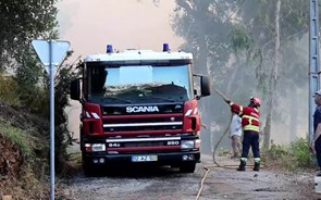 Incêndio em Oliveira de Azeméis combatido por 506 operacionais