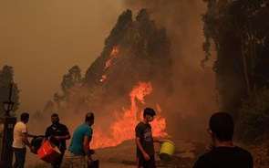 Incêndios: Governo aprova isenção de contribuições à segurança social e apoios ao emprego