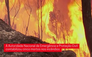 Chamas, fumo e desolação. As imagens dos incêndios em Portugal