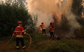 Governo sobe em 25% valor pago aos bombeiros entre 15 e 19 deste mês