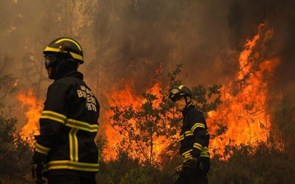 Governo decreta dia de luto nacional para amanhã