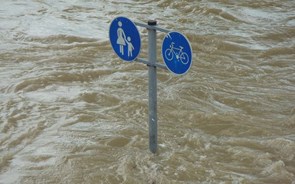 Financiamento climático do Banco Mundial atinge recorde de 42,6 mil milhões de dólares 